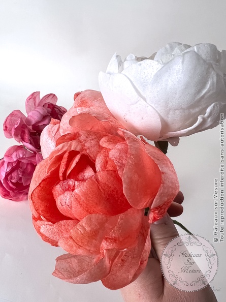 Cake Design - Formation Fleurs en Wafer Paper - Gâteaux sur Mesure Paris - cake design, cake design course, cake design training, Ecole de Cake Design de Paris, formation, formation cake design, France, Paris, pastry, pastry school, wafer paper, wafer paper flowers