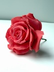 Elaborer et réaliser des pâtisseries montées ou sculptés (Cake Design)