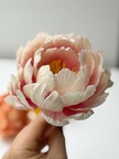 Elaborer et réaliser des pâtisseries montées ou sculptés (Cake Design)