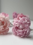 Elaborer et réaliser des pâtisseries montées ou sculptés (Cake Design)